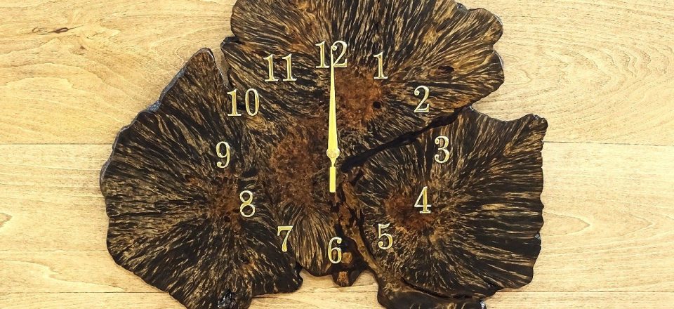 希少な根コブ(地中瘤)の電波時計