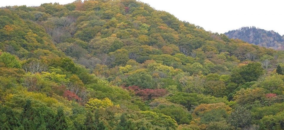 2025・10/27秋山郷の紅葉