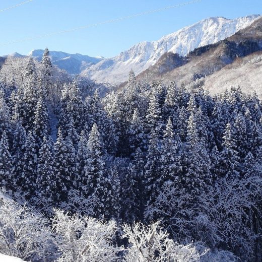 2025・12月　秋山郷