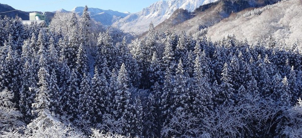 2025・12月　秋山郷